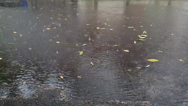 Rain easing on wet asphalt with puddles and fallen leaves