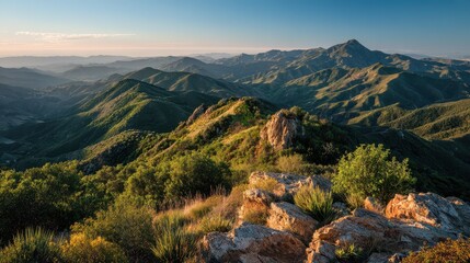 Lush green hills and sunlit chaparral in the Santa Monica Mountains, California