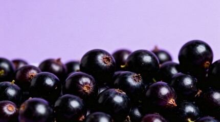 Pile of black currants on purple background