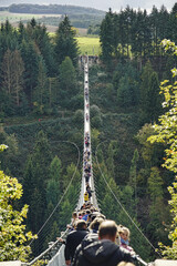 Blick auf die H&auml;ngeseilbr&uuml;cke Geierlay, einer der l&auml;ngsten und sch&ouml;nsten H&auml;ngeseilbr&uuml;cken in Europa