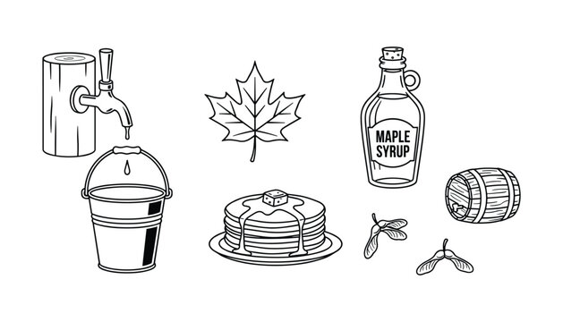 Collection of maple syrup extraction and processing doodles on transparent background