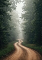 Obraz premium A winding dirt road disappears into a dense misty forest, symbolizing a long and challenging journey toward an uncertain future goal ,unknown ,strategy ,distance