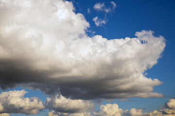 Obraz premium Fluffy white and gray cumulus clouds in a bright blue sky. Weather forecast, nature background for design element or overlay.