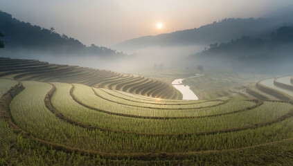 Early morning rice terrace with misty hills and reflective water at sunrise