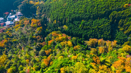 Nov 24 2025 Serene Takagamine Kaido Landscape in Kyoto, Japan