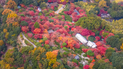 Nov 24 2025 Saga Arashiyama Skyline Over Kyoto Mountains And River
