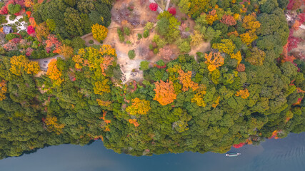 Nov 24 2025 Fall Trees At Arashiyama Rankyo Gorge Kyoto Japan