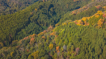 Nov 24 2025 Serene Takagamine Kaido Landscape in Kyoto, Japan