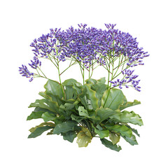 collection of Perez's lavender Plant with realistic style