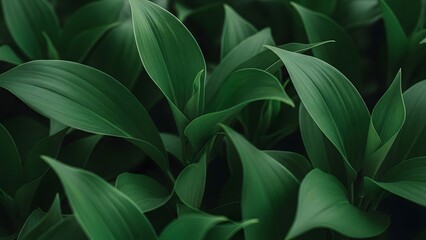 Obraz premium Lush Green Foliage Close-up