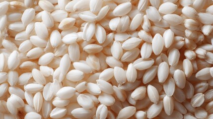 pearl barley close-up texture, raw peeled grains pattern, natural cereal backdrop, organic food flat lay
