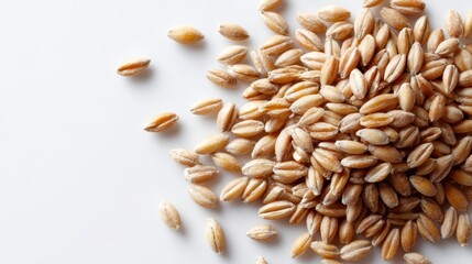 Obraz premium organic wheat and barley grains heap, healthy dry cereal seeds, top view on clean white background, food photography