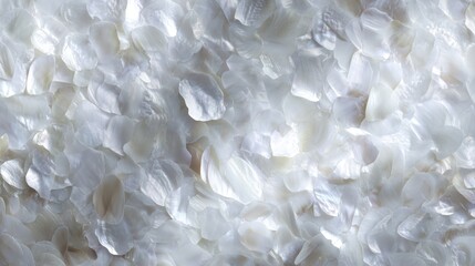 organic mother-of-pearl surface panorama, shimmering close-up texture, luxurious natural backdrop