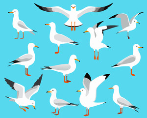 Obraz premium A collection of stylized seagulls in various flight and standing poses