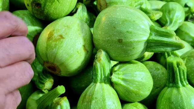 A close-up of fresh tinde (Indian round gourd) vegetables piled together at a market stall, showing plump green bodies, short stems, and smooth skins that indicate recent harvest and freshness.