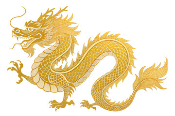 Fototapeta premium Golden Imperial Chinese Dragon Illustration on Grey Background