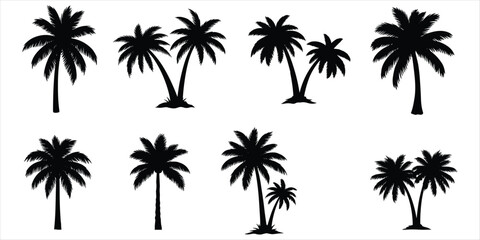 Collection of black palm tree silhouettes on a white background Keywords: palm tree, silhouette, tropical, tree, nature, island © rayhan039