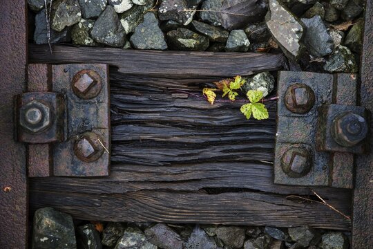 Old weathered railway threshold with rail fortification, detail photo, near Bresewitz station, near Zingst, Mecklenburg-Western Pomerania, Germany