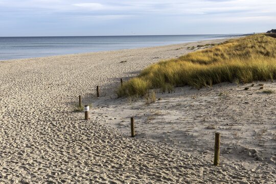 Beach and sea, Prerow, Fischland-Dar&szlig;-Zingst, Western Pomerania Lagoon Area National Park, Mecklenburg-Western Pomerania, Germany