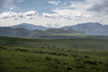 Tundra And Glaciated Peak Denali