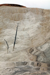 Slope covered in Travertine, Yellowstone National Park, Wyoming  USA
