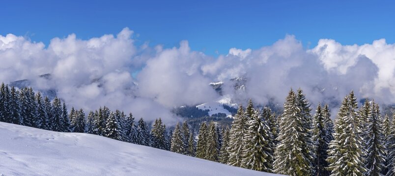 Panorama H&ouml;henweg, Kleinwalsertal, Allg&auml;u Alps, Vorarlberg, Austria