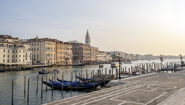 Motorboats and gondolas on the Grand Canal in the morning light, Campanile in the background, Venice, Veneto, Italy