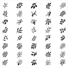 Greek Olive Clip Art