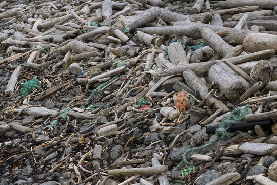 Driftwood and plastic waste, Drangsnes, Strandir, &Aacute;rnes, Westfjords, Iceland