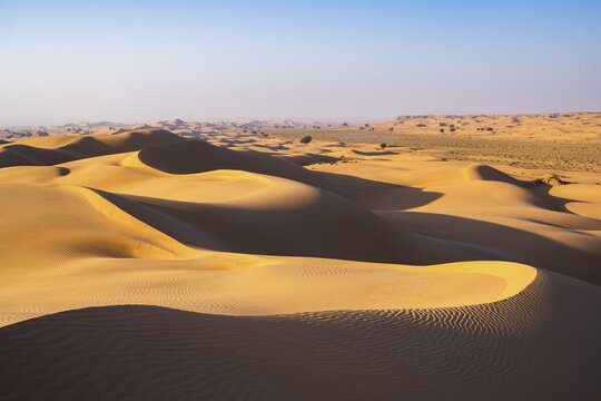 Sand dunes in the desert, near Duqm, Oman