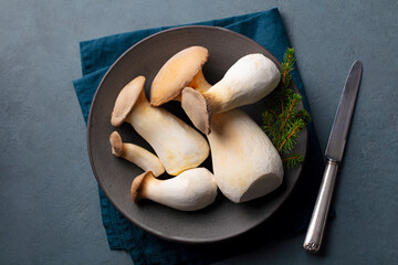 Fresh king oyster mushrooms on dark plate. Elegant food styling, pine garnish. Grey background. Close up. Top view.