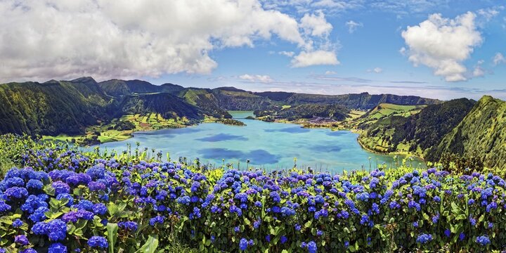 Bright sunshine over blue hortensias (Hydrangea) in front of the crater lake Lagoa Azul with crystal clear water, Lagoa Verde, Lagoa Azul, Lagoa de Santrago, Caldeira das Sete Cidades, Sete Cidades, Sao Miguel Island, Azores, Portugal