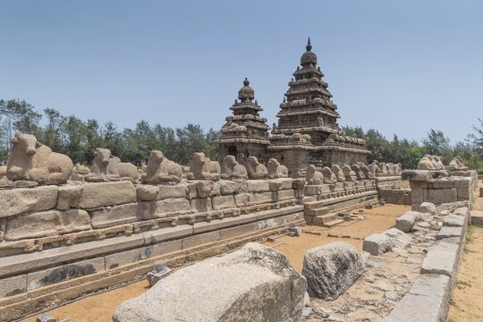 Nandi's Shore Temple dedicated to Shiva, UNESCO World Heritage Site, Mahabalipuram or Mamallapuram, Tamil Nadu, India