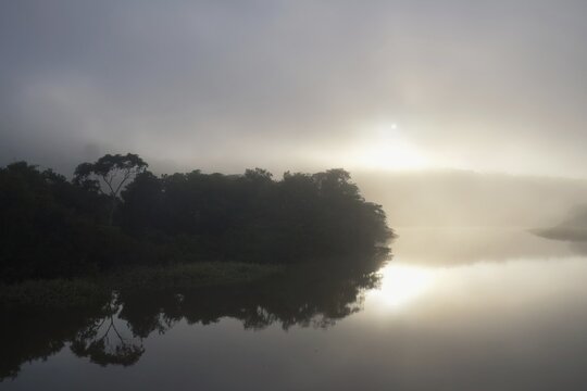 Morning fog on the Amana River, an Amazon tributary, Amazonas state, Brazil