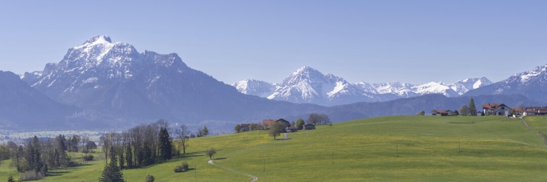 Alpine foothills near Rosshaupten, with Neuschwanstein and the S&auml;uling behind, 2047m, Ostallg&auml;u, Bavaria, Germany