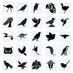 Obraz premium Birds Of Prey, Songbirds, And Waterfowl – A Collection Of Different Bird Types For Nature And Zoology Illustrations