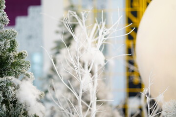 Winter Wonderland Scene with Frosted Trees and White Branches Decorated for the Holiday Season in a...