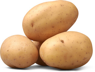 pile of raw unpeeled potatoes isolated white background, vegetables with textured light brown skin, side view in close-up with shadows