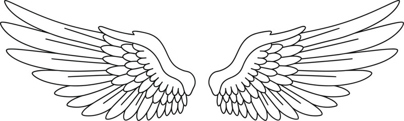Obraz premium Detailed black outline drawing of symmetrical angel wings spread horizontally against a clean white background design element