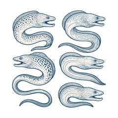 Moray Eel Set. Hand Drawn Sea Eels Vintage Engraving Illustration