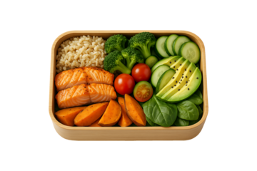Healthy Bento Box with Salmon and Vegetables Isolated on Transparent Background