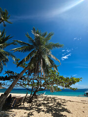 beautiful white sand beach with palm trees on sunny day near turquoise tropical wave sea. philippines islands. vertical