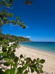 beautiful white sand beach on sunny day near turquoise tropical wave sea. philippines islands. vertical