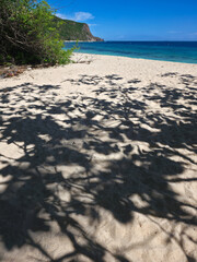 beautiful white sand beach with trees shadows on sunny day near turquoise tropical wave sea. philippines islands. vertical