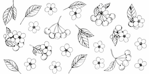 Delicate floral and foliage line art pattern on a plain white background