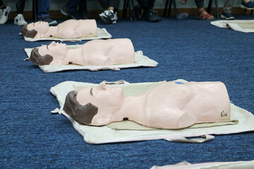 Rubber mannequins for demonstration of resuscitation, heart pumping
