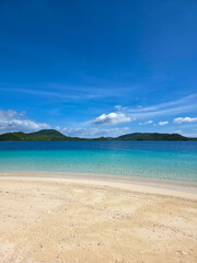 beautiful white sand beach on sunny day near turquoise tropical wave sea. philippines islands. vertical