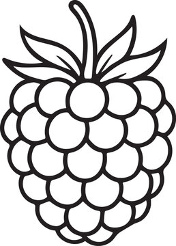 Raspberry outline vector icon