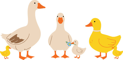 Cute goose and duck family with chicks, adorable farm bird cartoon vector illustration for kids © Sumon Creative