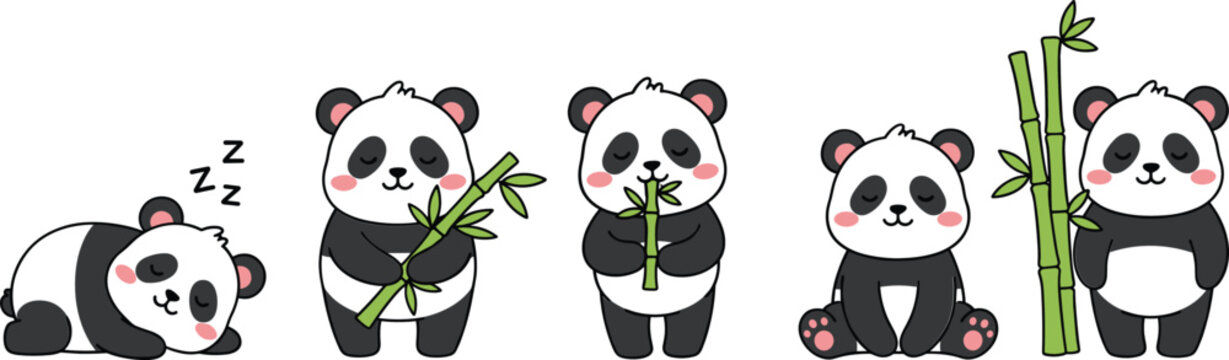 Cute panda bear characters set in different poses eating bamboo, sleeping and sitting, kawaii animal illustration